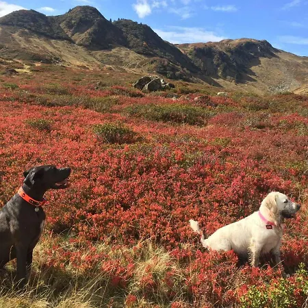 Elisabeth Apartment *