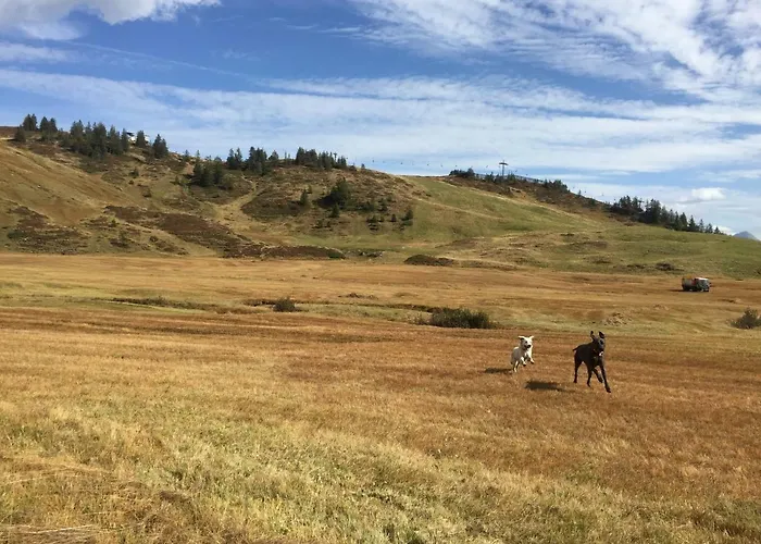 Elisabeth Apartment Damüls