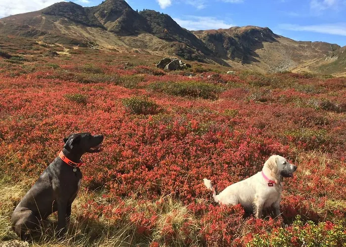 Elisabeth Apartment *